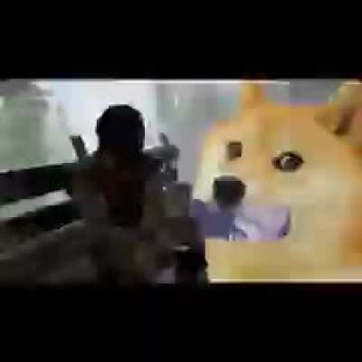 Doge's rise