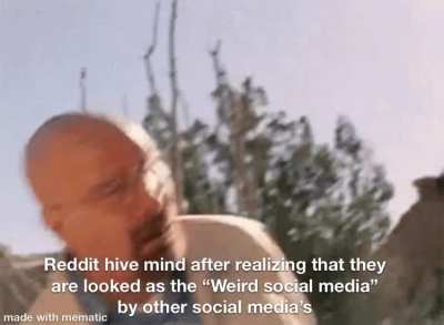 The term &ldquo;Redditor&rdquo; is literally used as an insult on other apps