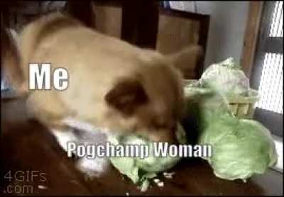 MY CABBAGES