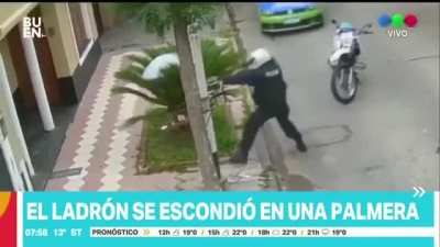 El as del camouflage