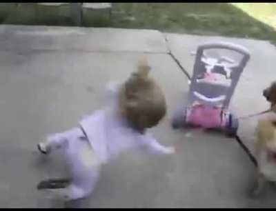 WCGW if my dog weighs twice as much as me