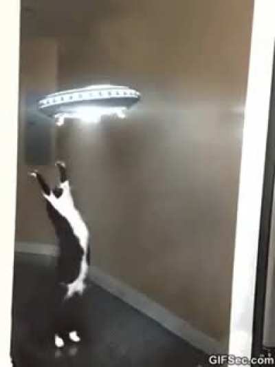 Do you still doubt UFO's are real ?