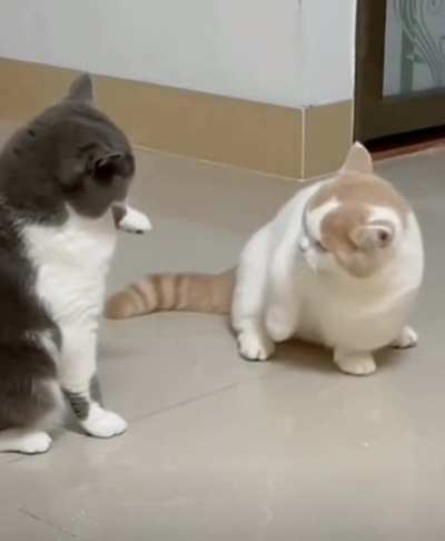 Short legged slaps