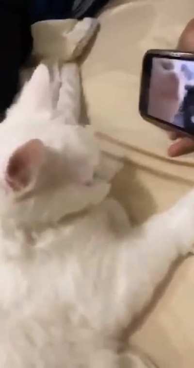 He&lsquo;s still vibing!