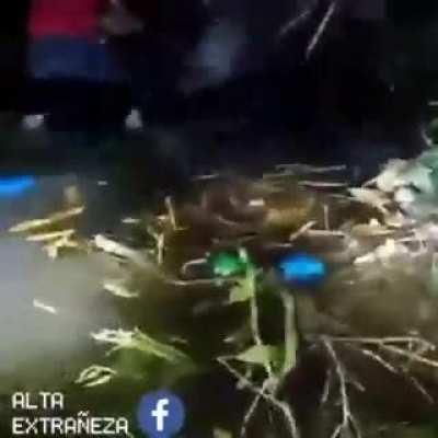&iquest;Alguien sabe que es eso?