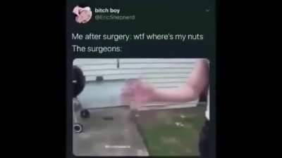 Nuts