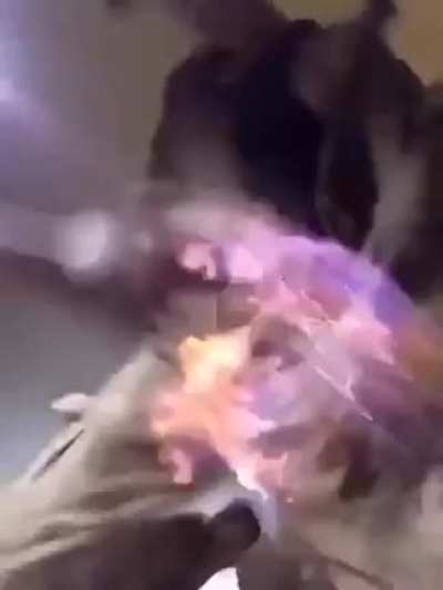 Paja mortal