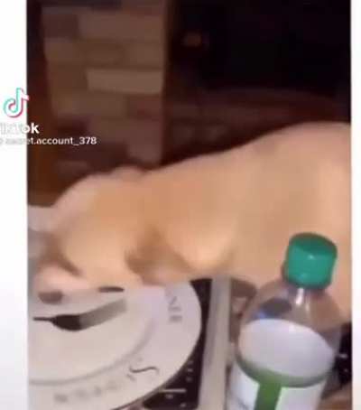 &ldquo;Mine&rdquo;..Fuk off&rdquo; !!!