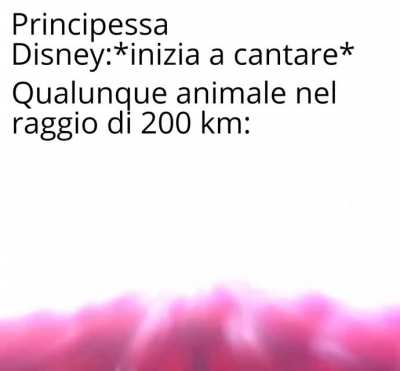 Lo metter&ograve; domani su Memesita