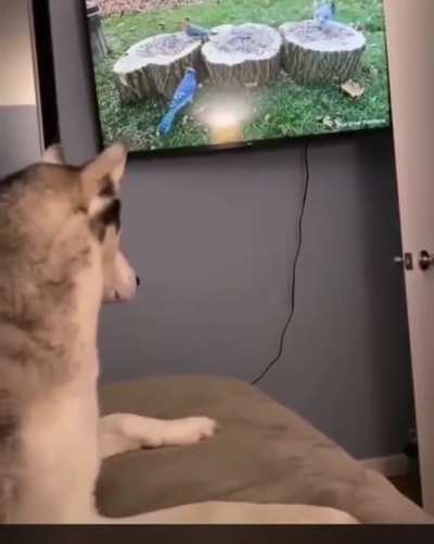 " You seein' this sh*t? "