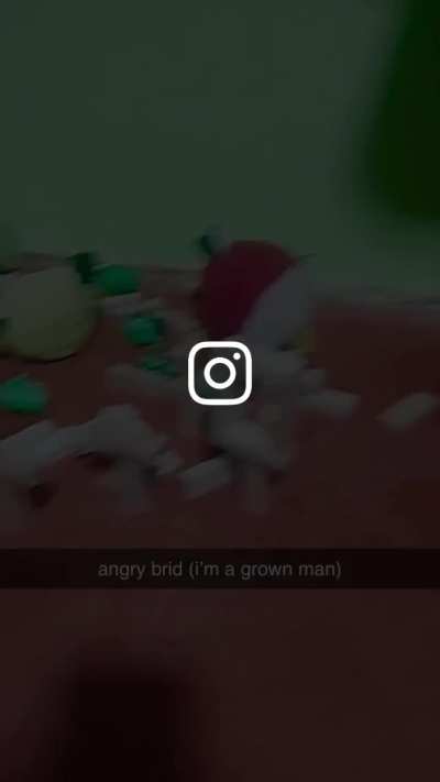 angry bird