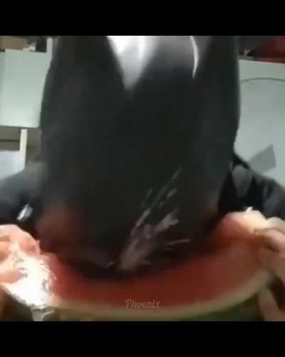 Good Pussy