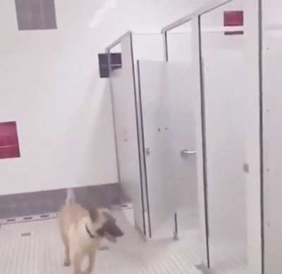 You mustn&rsquo;t leave the poor boy alone
