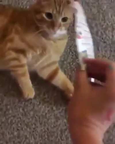 Look it&rsquo;s you!