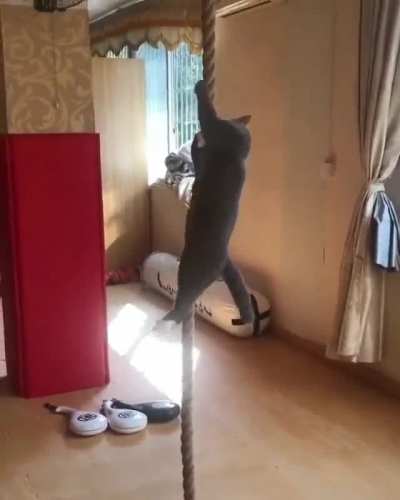 If this isn&rsquo;t catculations, then I don&rsquo;t know what is.