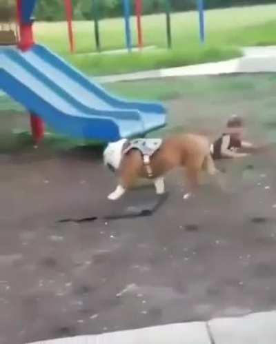 Good boys