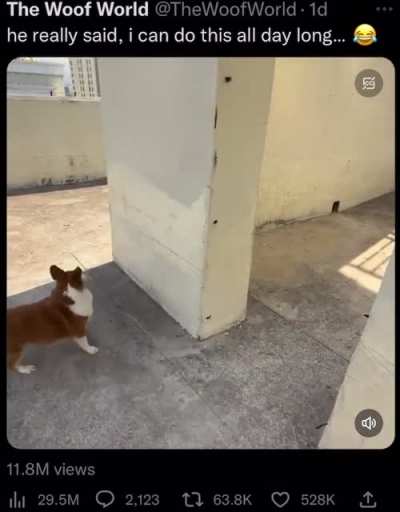 bork bork