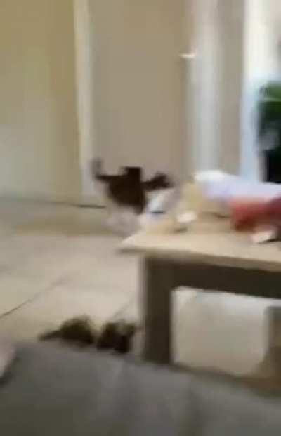 Special guest
