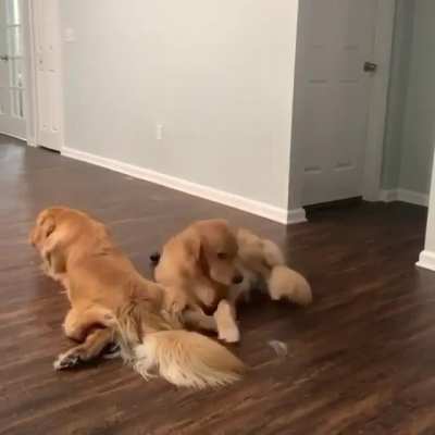 Sploot makes a good pillow