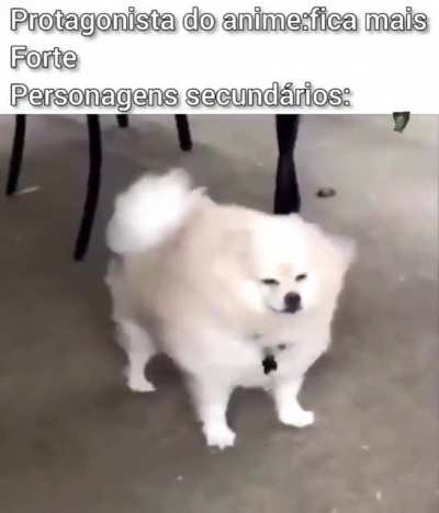 Luta vai ser épica, crédito ifunny/victuz