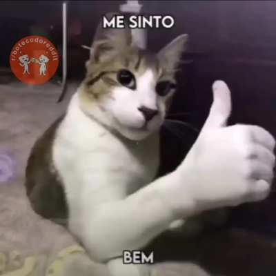 😸😸😸