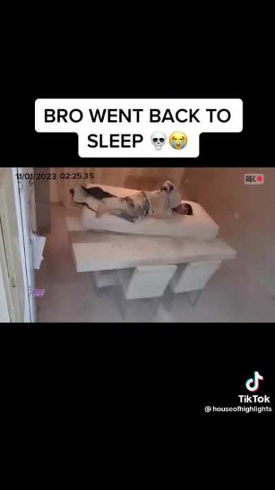 how does bro fall from the ceiling💀💀
