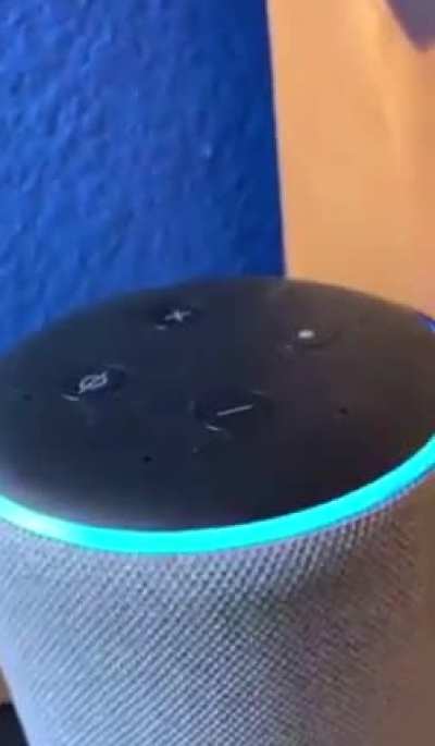 Essas configura&ccedil;&otilde;es de fabrica t&atilde;o estranhas MonkaS