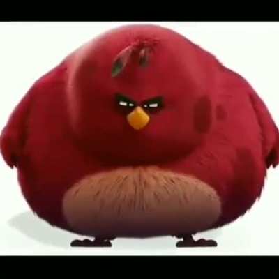 🐦