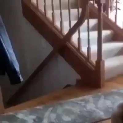 Run for your life
