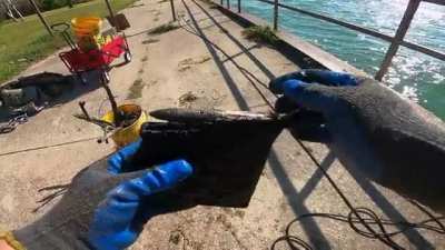 Magnet Fishing