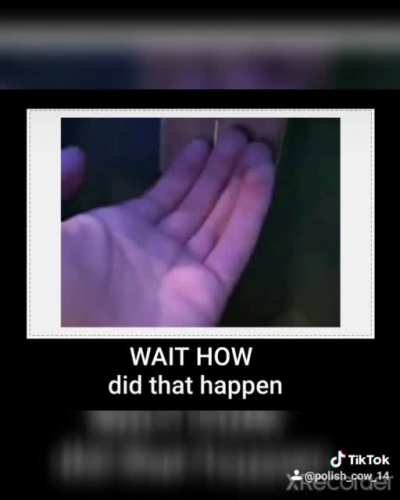 Frog gets succed