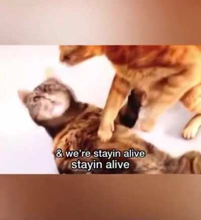Since my last video was very well received(6 updoots) I decided to hand a part 2 here!