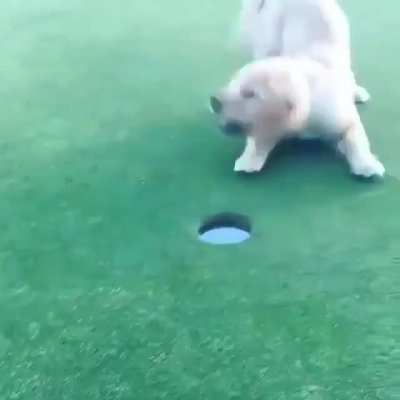 Hole In One, Professional Golfer