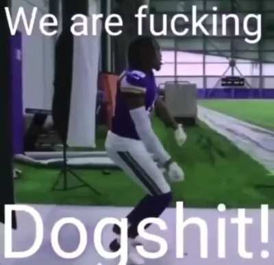 The Vikings are my favorite team. I hate them.