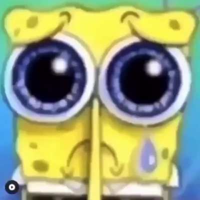 Spongbog