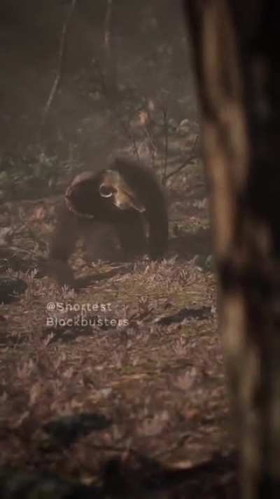 Goatman : The Unsung Monster