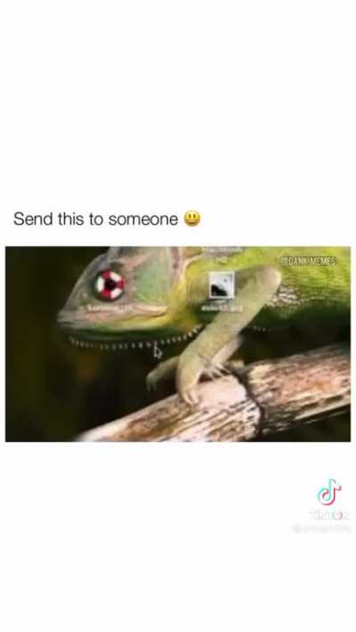 Yes