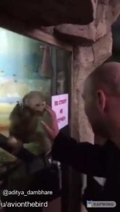 Curious george nooo