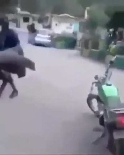 d