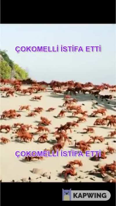 K&ouml;t&uuml; g&uuml;nleri atlattık sırada daha k&ouml;t&uuml; g&uuml;nler var...