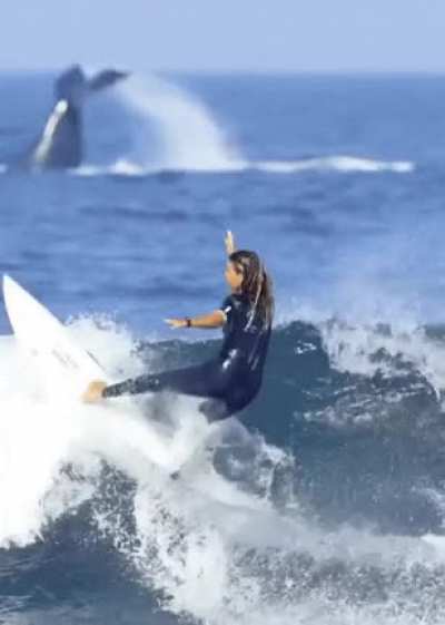 Whale tail