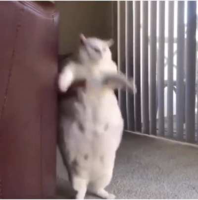 Oh lawd, he comin'