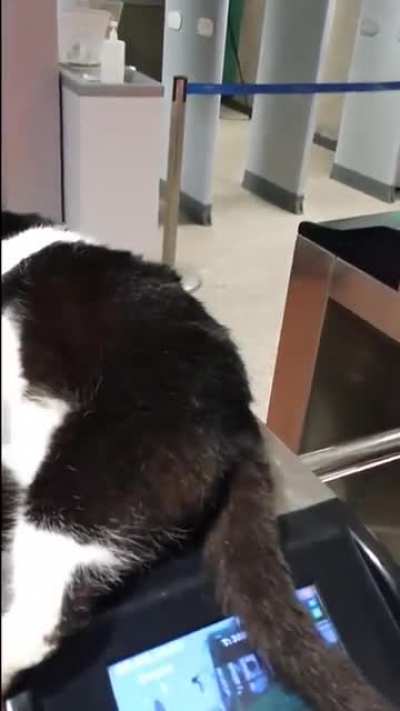 Do not disturb