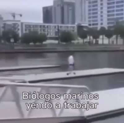 literalmente