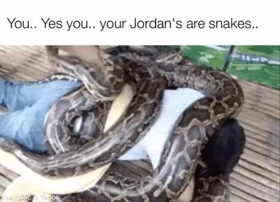They're dangerous