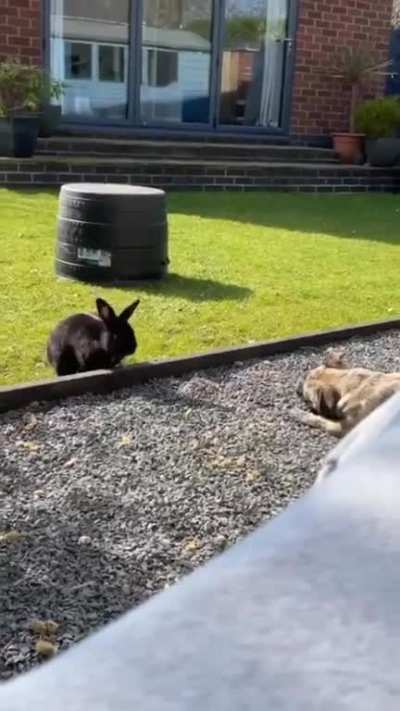 That&rsquo;s not a rabbit hole