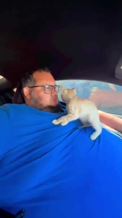 why care about a cat&rsquo;s life when you haven&rsquo;t cared about yours in years?