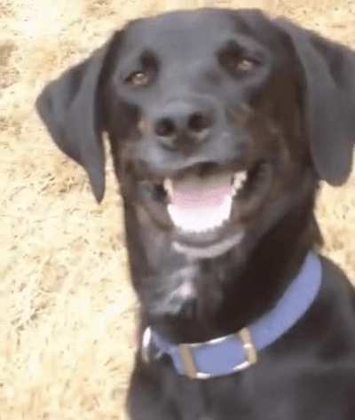 MRW my wife's friend says 