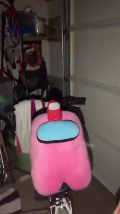 Sus