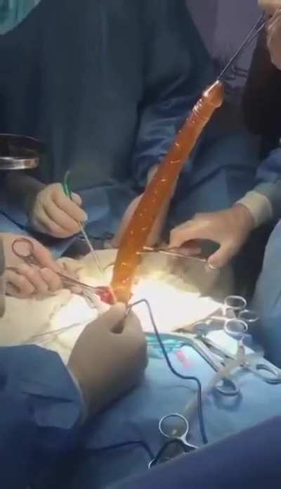 2Ft. Dildo removed